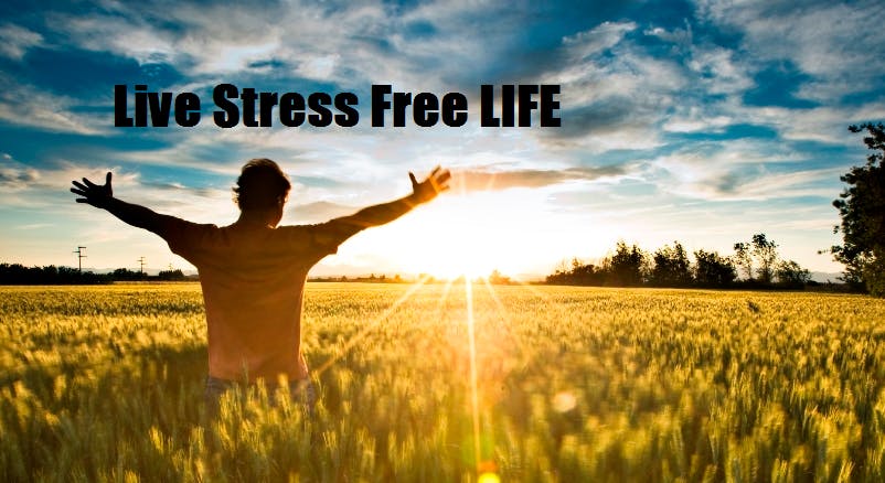 live a stress-free